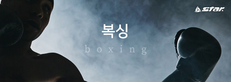 topimg_boxing.jpg
