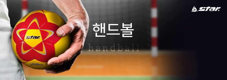 topimg_handball.jpg