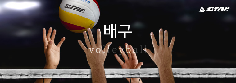 topimg_volleyball.jpg